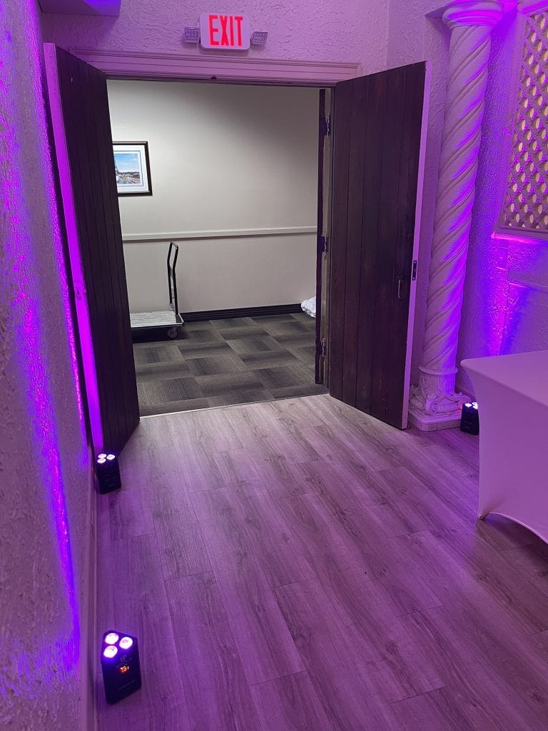 DJ-Sensedog-professional-lighting-wireless-uplighting-purple