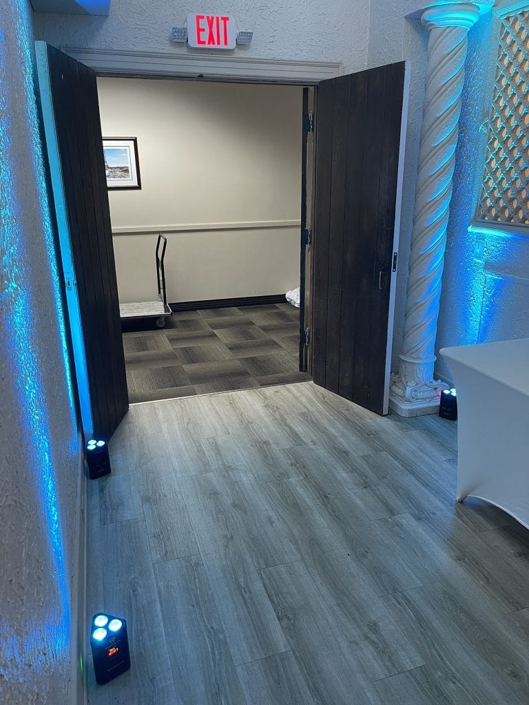 DJ-Sensedog-professional-lighting-wireless-uplighting-blue