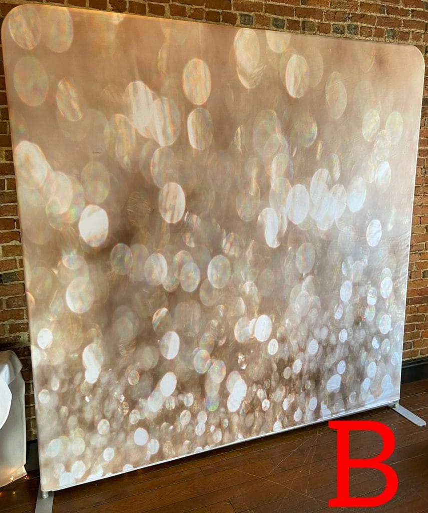 DJ-Sensedog-photo-booth-backdrop-Option-B-Sparkles